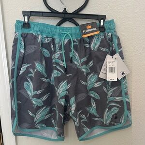 Men's Gray and Green Swim Shorts